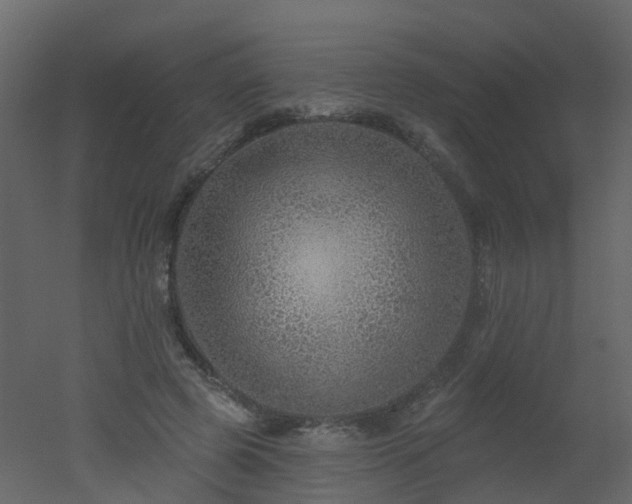 X0000051860545200506241324