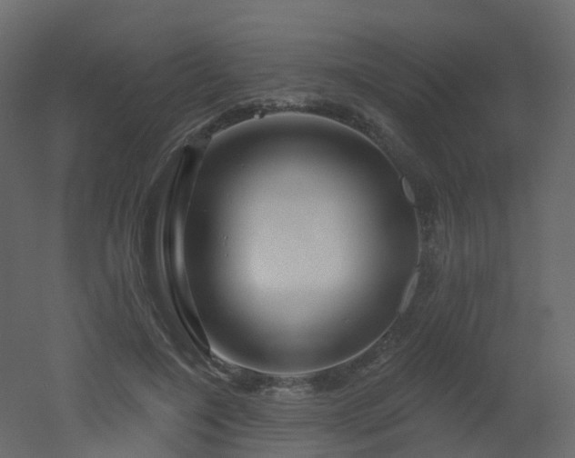 X0000051860548200506241324