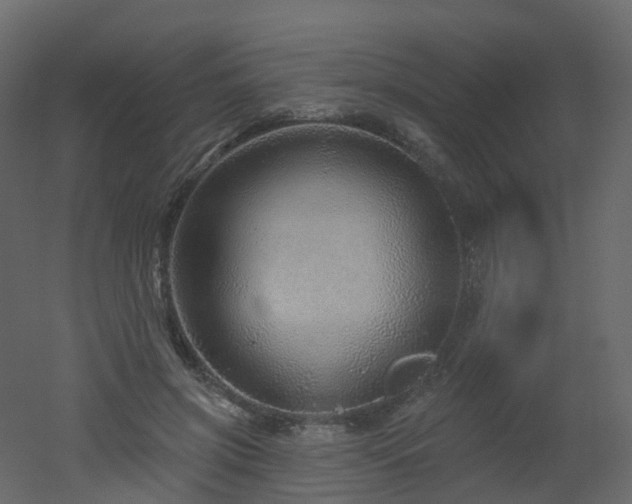 X0000051860549200506241324