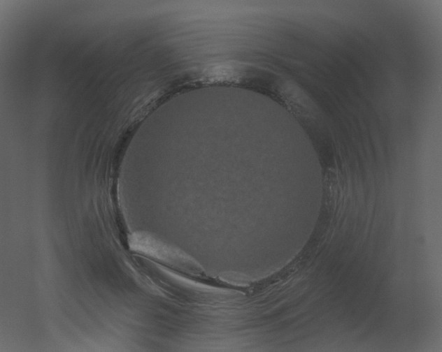 X0000051860550200506241324