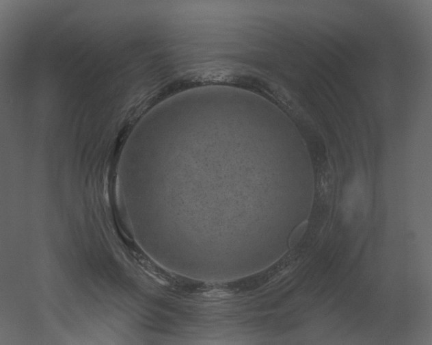 X0000051860551200506241324