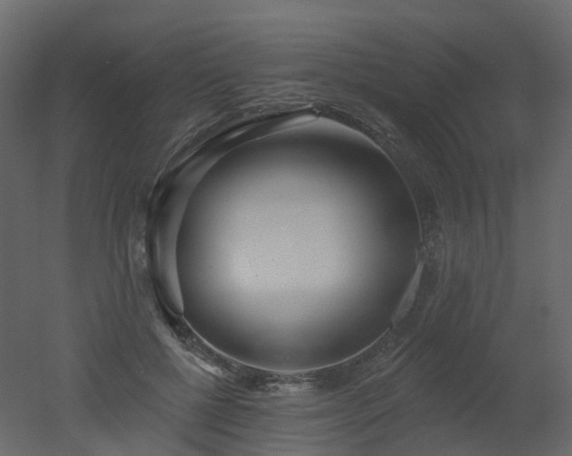 X0000051860552200506241324