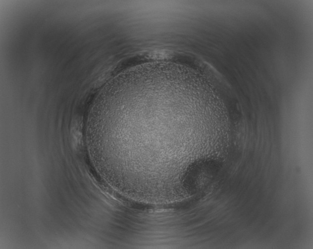 X0000051860553200506241324