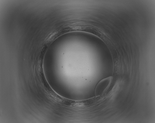 X0000051860554200506241324