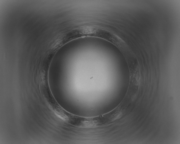 X0000051860556200506241324