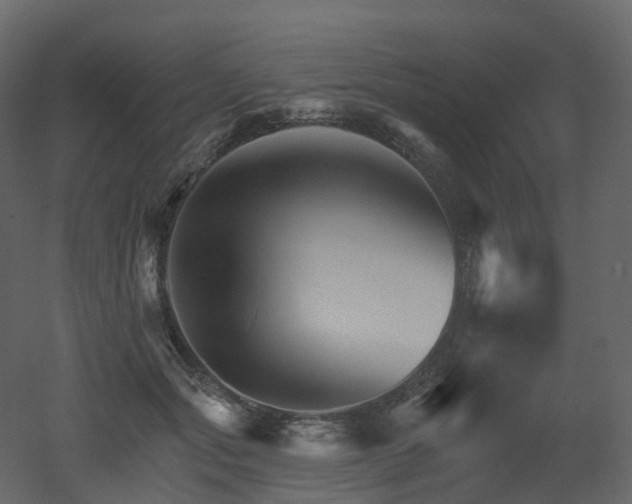 X0000051860557200506241324