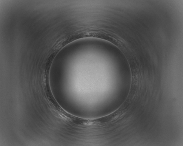 X0000051860558200506241324