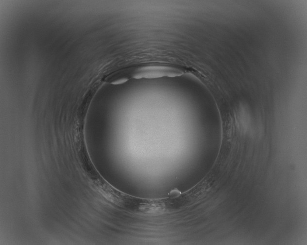 X0000051860559200506241324