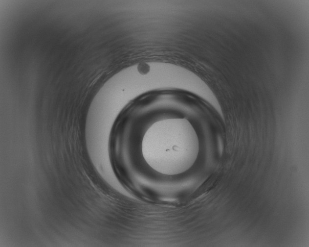 X0000051860560200506241324