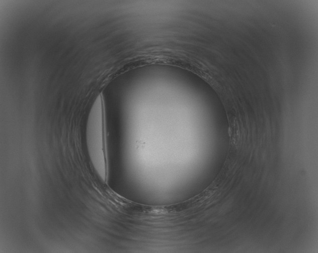 X0000051860562200506241324