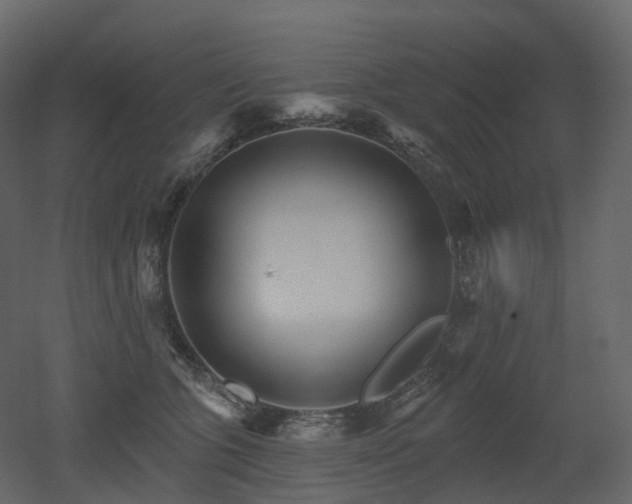 X0000051860563200506241324