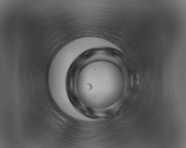 X0000051860564200506241324