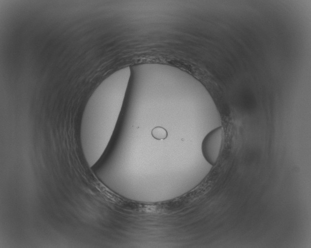 X0000051860565200506241324