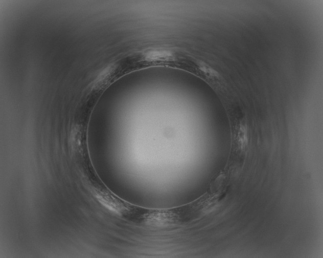 X0000051860567200506241324