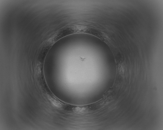 X0000051860570200506241324