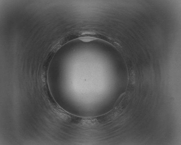 X0000051860571200506241324