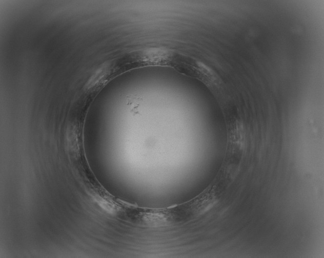 X0000051860572200506241324