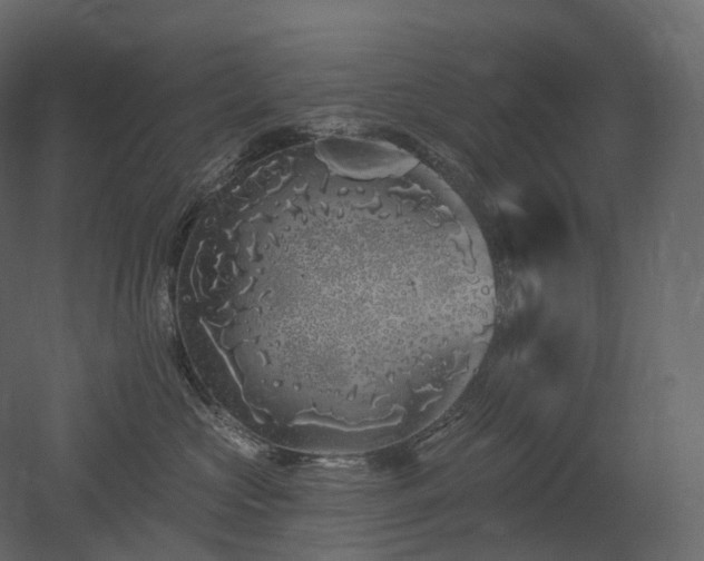 X0000051860573200506241324