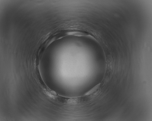 X0000051860574200506241324