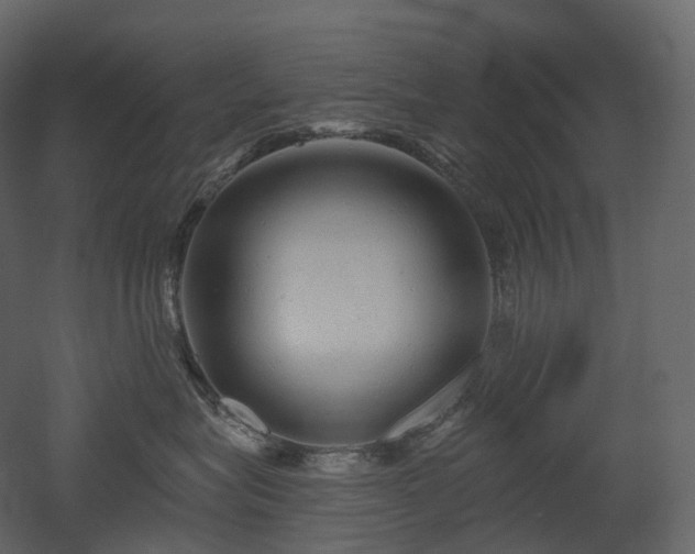 X0000051860575200506241324