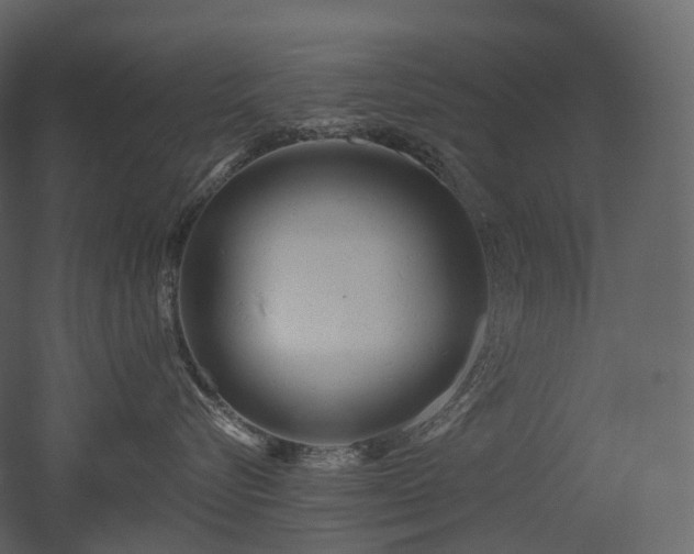 X0000051860576200506241324