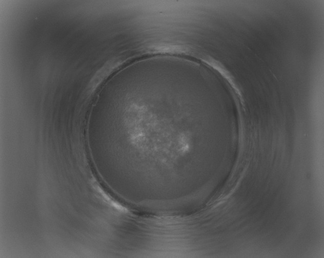 X0000051860577200506241323