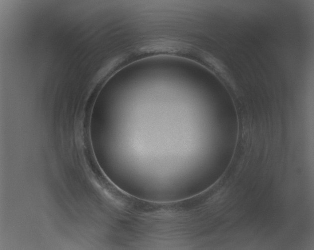 X0000051860578200506241323