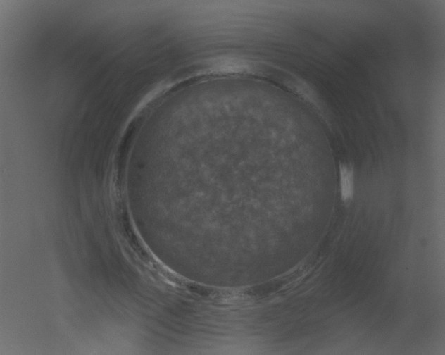 X0000051860579200506241323