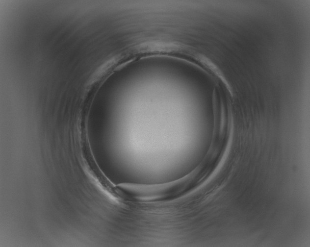 X0000051860581200506241323