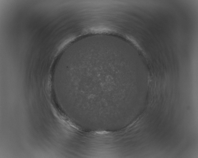 X0000051860583200506241323