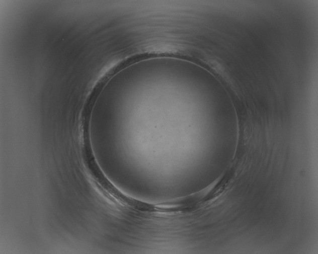 X0000051860584200506241323