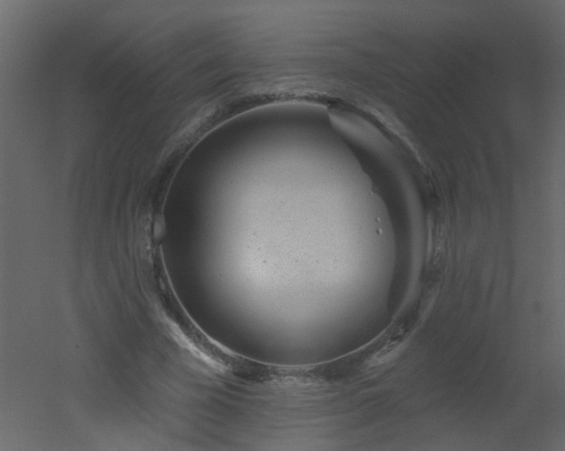 X0000051860585200506241323