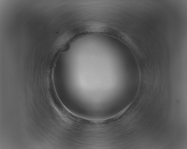 X0000051860586200506241323