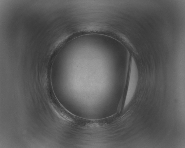 X0000051860588200506241323