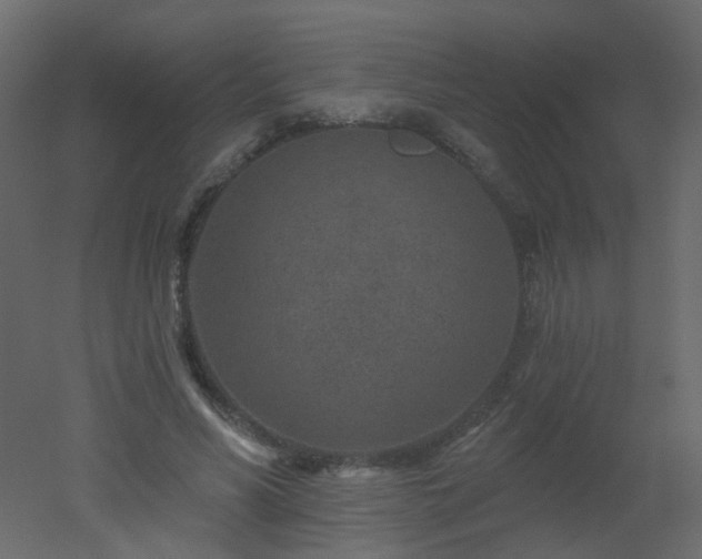 X0000051860590200506241323