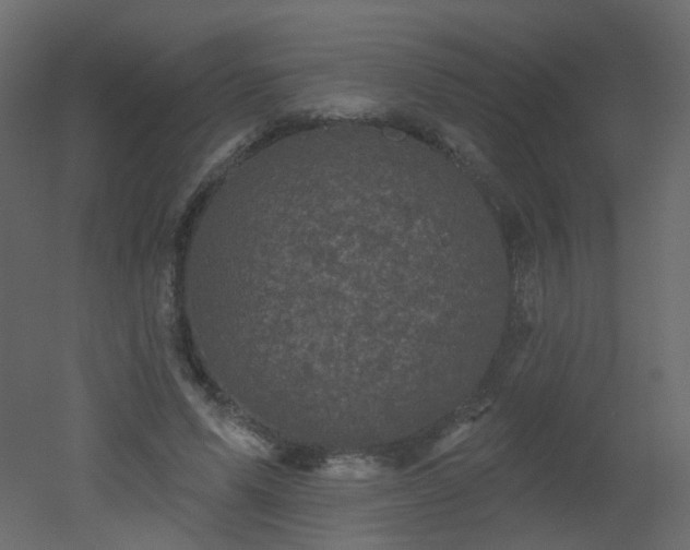 X0000051860591200506241323