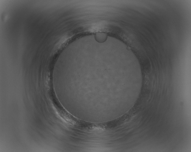 X0000051860592200506241323