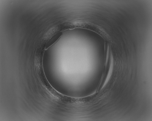 X0000051860593200506241323