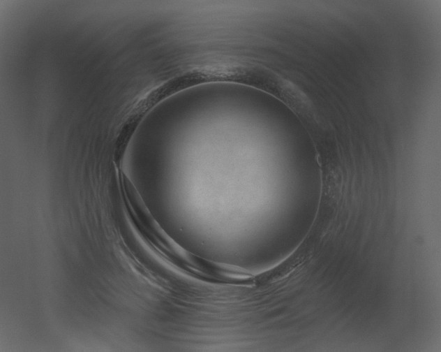 X0000051860596200506241323