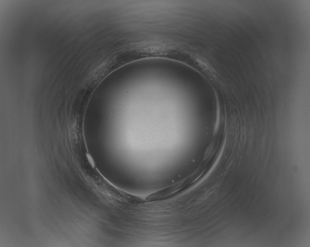 X0000051860597200506241323