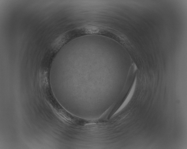 X0000051860598200506241323