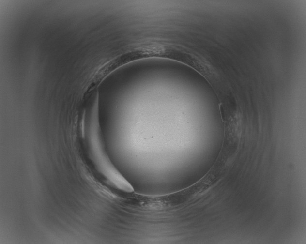 X0000051860600200506241323