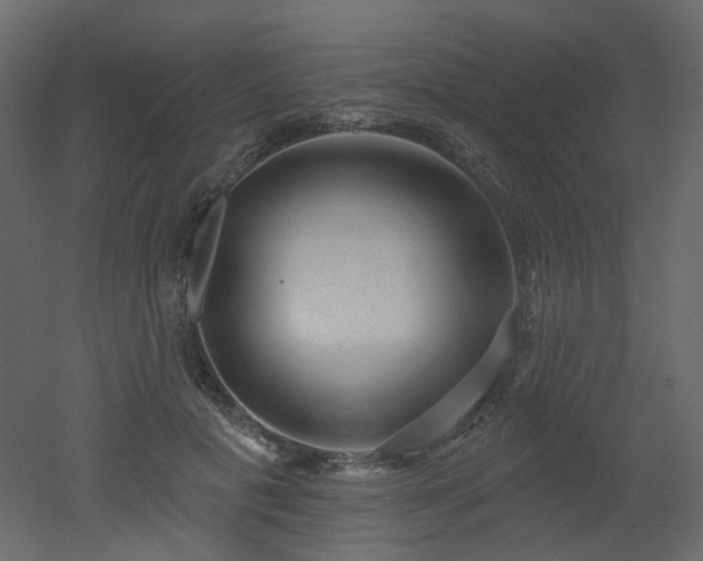 X0000051860601200506241323