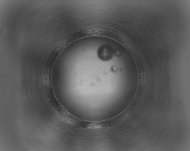 X0000051860602200506241323