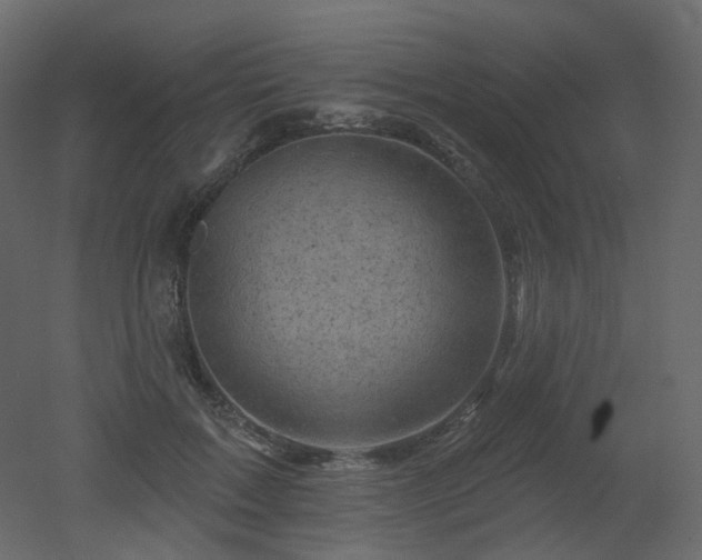 X0000051860603200506241323