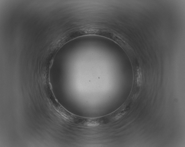 X0000051860604200506241323