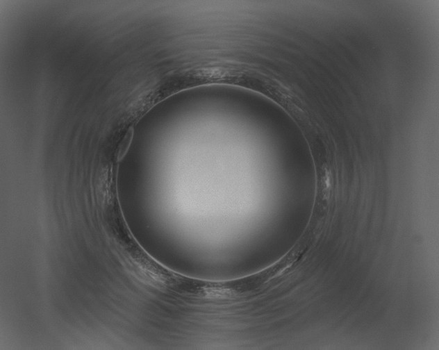 X0000051860605200506241323