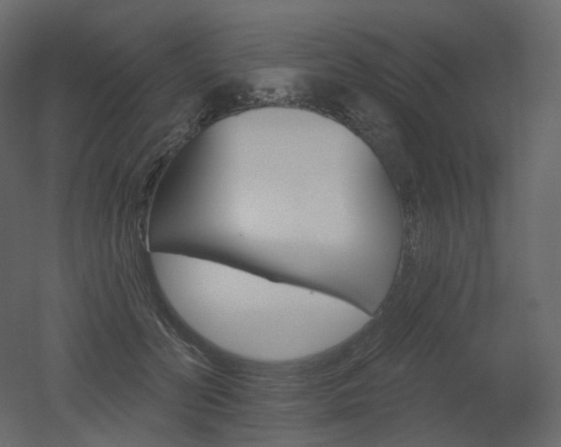 X0000051860606200506241323