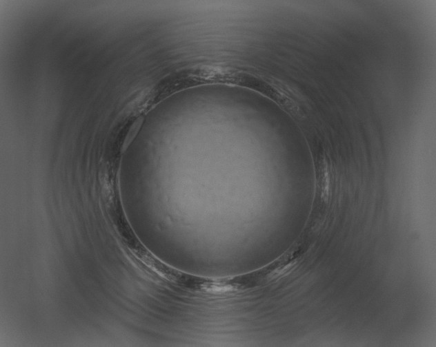 X0000051860607200506241323