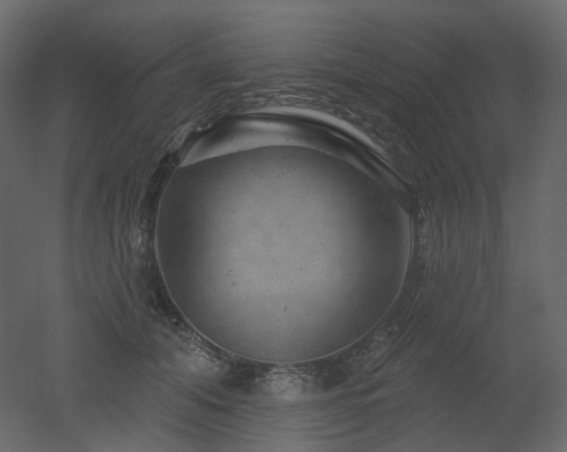 X0000051860608200506241323